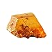 Polish Real Amber in Search of Ancient Insects!