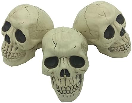 Pinber Halloween Decor Head Skeleton Model Pack of 3 pcs