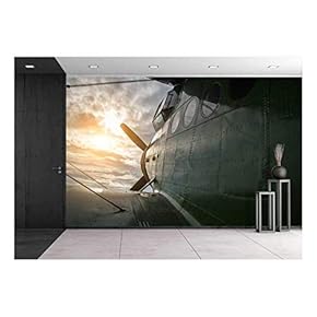Old Aircraft Flying in a Cloudy Sky by Sunset - Removable Wall Mural | Self-Adhesive Large Wallpaper - 66x96 inches
