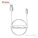 Jackery iPhone Charger [Apple Lightning Cable] Apple Certified MFI Lightning to USB Cable - 3 Feet - Compatible with iPhone 7 Plus 6S Plus 6 Plus SE 5S 5C 5, iPad 2 3 4 Mini Air Pro, iPod (White)