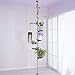 Hershii 5-Layer Indoor Plant Stand Pole Spring Tension Rod Corner Flower Display Rack Holder Adjustable Telescopic Floor to Ceiling Shelf Space Saving – Greythumb 2