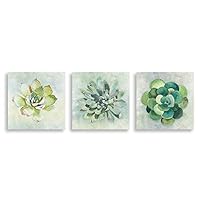 3Piece Canvas Wall Art - Succulent Plant - Canvas Prints Home Artwork Decoration for Living Room,Bedroom - 12