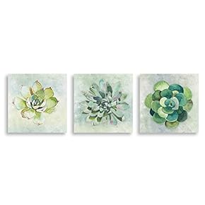 3Piece Canvas Wall Art - Succulent Plant - Canvas Prints Home Artwork Decoration for Living Room,Bedroom - 12"x12"x3 Panels