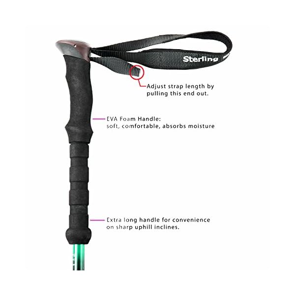 sterling endurance trekking pole
