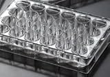 EarthOx Sterile Tissue Culture Plate 24 Well - Non- Treated (4 Plates)
