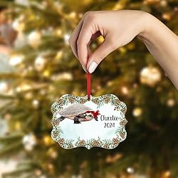 Pink Belly Sideneck Turtle Christmas Ornament 2024