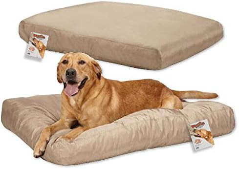 cold laser therapy for pets