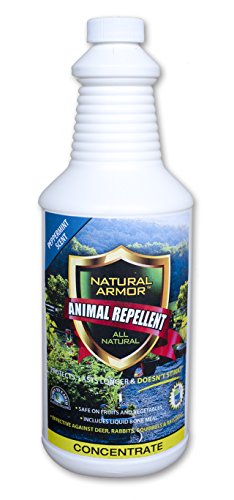 Repellent Spray for Rodents & Animals. Cats, Rats, Squirrels, Mouse & Deer. Repeller & Deterrent for Dogs, Critters, Mice, Raccoon & Skunk. Natural Armor Peppermint Quart Concentrate