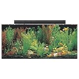 SeaClear 40 gal Acrylic Aquarium Combo Set, 36 by 15 by 16", Clear