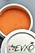 EVXO Organic Eye Shadow (Ardent) - Organic, Matte, Vegan, Eco-Friendly