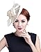 Aniwon Cocktail Pillbox Hat Fascinator Hair Clip Bridal Headwear for Women
