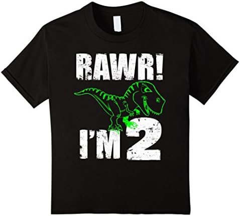 Kids 2nd Birthday Dinosaur Gift T-Shirt for 2 Year Old Boys girls 4 Black