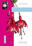 Les fuchsias : Comment les choisir et les cultiver facilement by 