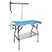 Flying Pig Heavy Duty Stainless Steel Frame Bone-Shape Grooming Table (Blue, 44