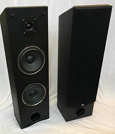 floor stereo system