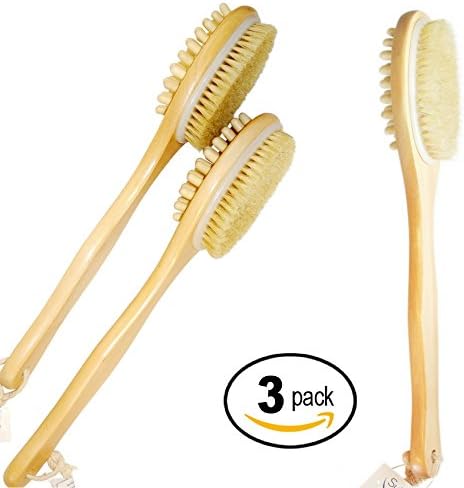 HEALTHY ORIGINAL BODY BRUSH Family Pack [3 Skin Brushes] for Well-Being. Ancient Art for Circulation &amp; Glowing Skin. Top Skin Brush, Long Handle, Natural Bristles, Sublime Beauty. (3 Pack)