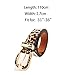 Leopard Print Faux Leather Fashion Belt for Ladies, Gift Idea,Brown,One Size