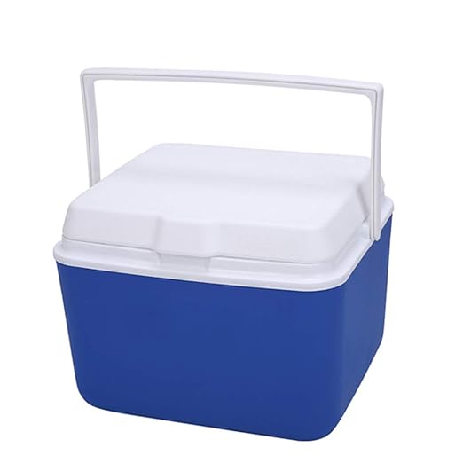 LIANGLIANG - Nevera portátil para el Aire Libre, con Mango para ...