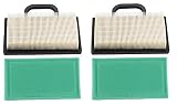 Briggs & Stratton 2 Pack, 2 Air Filters Plus 2 Pre-Filters Replace Air Filter