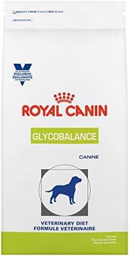 bringing home a second dog