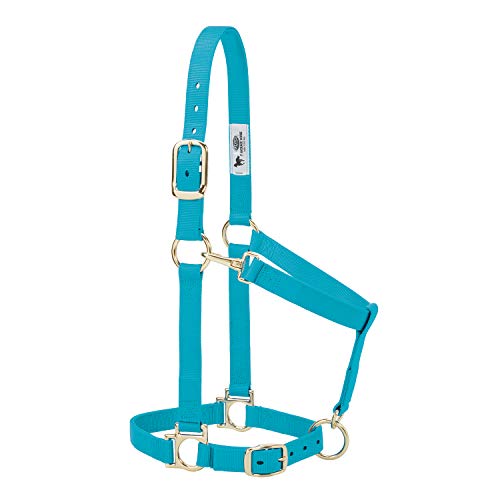 Weaver Equine Padded Nylon Horse Halter