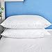 Goose Feather Pillows for Sleeping, 100% Cotton Cover, Quatrefoil Quilted, Queen Size (2 Pack)