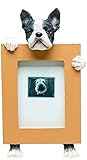 Boston Terrier Picture Frame Holds Your Favorite