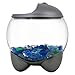 Tetra 29263 Betta Bubble Betta Bowl with Built In LED Light