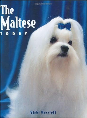 The Maltese Today (Book of the Breed S) �n�[�h�J�o�[ - 1996/4/1