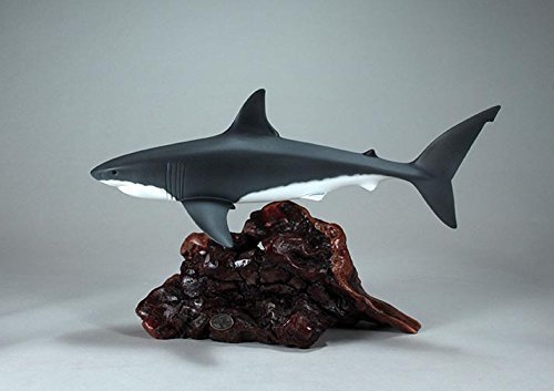 Great White Shark Sculpture by John Perry 15in Long Airbrushed on Burl Wood Decor
