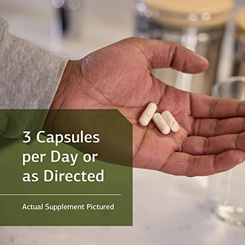 Standard Process ProSynbiotic Digestion Supplement with