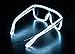 Neon Nightlife White Frame/Tinted Single Lens Tron Style Light Up Glasses
