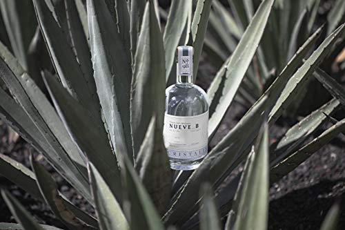 Tequila Nueve B Cristalino - Premium Tequila aus 100% blauer Weber Agave - 38% vol. 0,7l Flasche – Bild 3