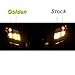 GP Thunder H11 3500K 55W JDM Golden Yellow High Performance Xenon Halogen Light Bulbs for Compatible Fog Light -High Beam - Low Beam