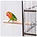 Bird Cage Accessories-Bird Perch-Bird Stand-Natural Wood Perch 3-Piece Set for Birds