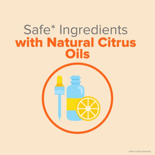 Citrus Magic Natural Odor Eliminator Air Freshener Spray for Home
