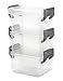 IRIS USA 3-Piece Buckle Snaps Layered Latch Box, Mini, Clear/Silver