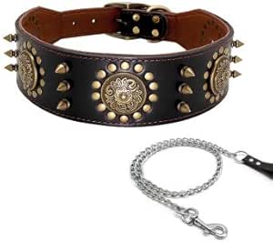 collar anti mordidas