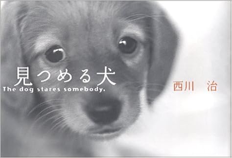 見つめる犬 治 西川 本 通販 Amazon