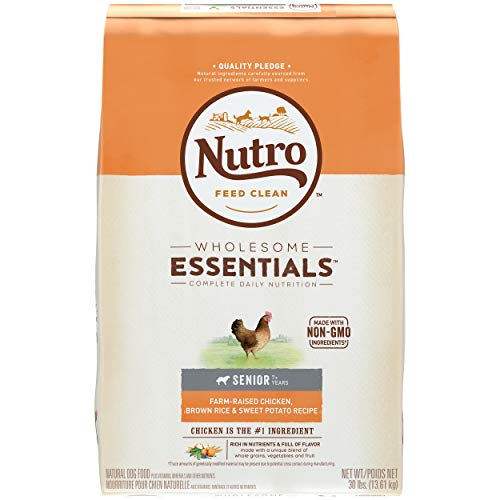 nutro wholesome essentials small breed senior