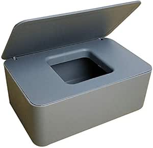 Tding Caja de almacenamiento de pañuelos con tapa para ...