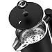 Double-Wall 304 Stainless Steel French Press Coffee Maker - 34 oz, Vacuum Insulated Tea Brewer Pot with 4 Level Filtration System - Extra 2pcs Filters Included - 8 Cup/1000ml