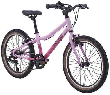pinnacle ash bike