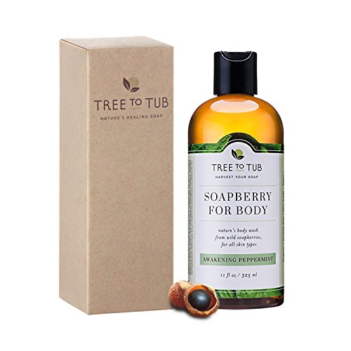 Natural Body Wash for Men & Women, pH 5.5the Only All Natural Soap that Cleans with Ayurvedic Antibacterial & Antifungal Soap Nut Lather, Invigorating Peppermint Oil, 11ozTree to Tub Beauty & Personal Care, Skin Care, Body, Cleansers, Body Washes