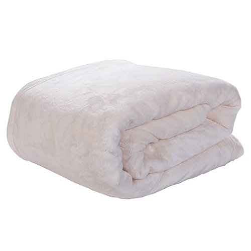 Buy HYSEAS Velvet Plush Blanket, Home Fleece Bed Throw Blanket, Twin