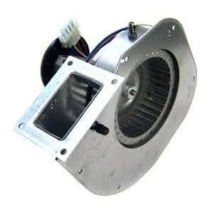 Amazon.com : Hayward FDXLBWR1930 FD Combustion Blower