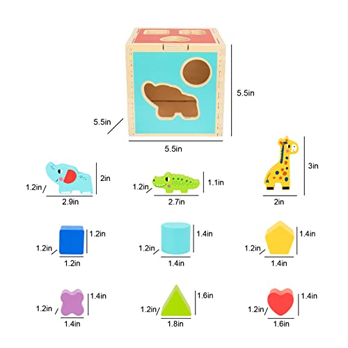 TOOKYLAND Wooden Shape Sorter Cube Toy, Wooden Animal Blocks Geometric