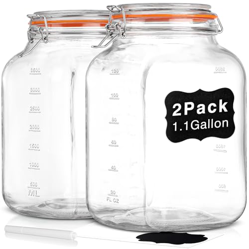 Glass Storage Container with Lid
