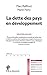 La dette des pays en développement by 