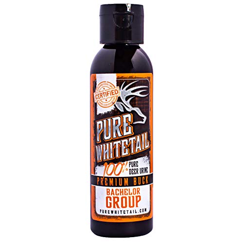Pure Whitetail Bachelor Group Buck Urine - 4 oz, Fresh 100% Pure Mock Scrape Attractant and Calming Cover Scent from Multiple Bucks